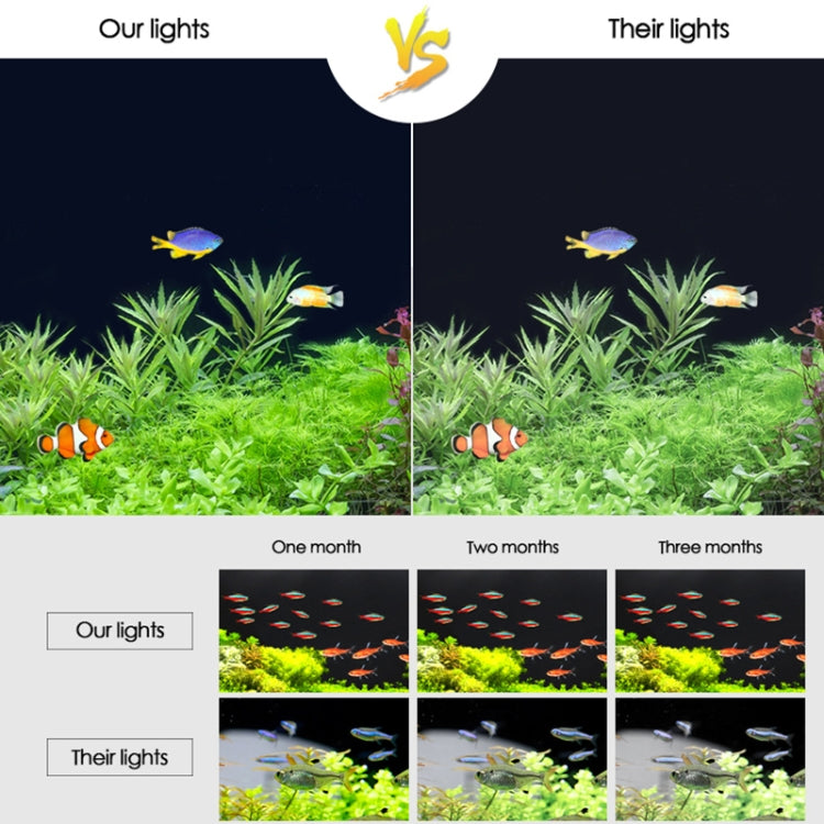 XY-60K Three Rows Aquarium Glass Fish Tank LED Aquatic Bracket Lamp, US Plug(White Blue) - Fish Tanks & Accessories by buy2fix | Online Shopping UK | buy2fix