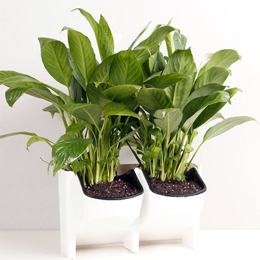 PP Planter Flower Pot Wall Hanging Garden Hanging Stackable Garden Supplies(White) by buy2fix