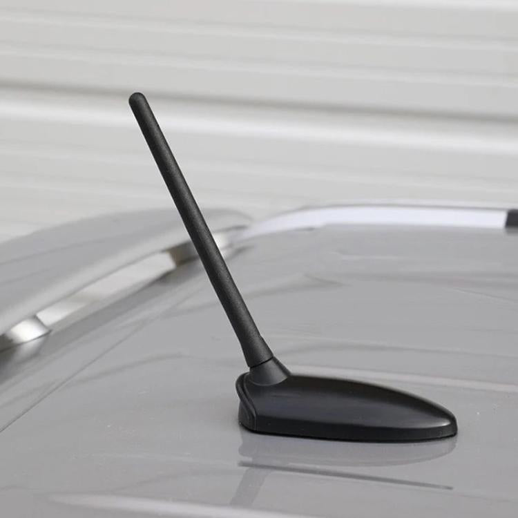 CMS6367_4.jpg@48e9295fd1fd1a471036418d0022f741