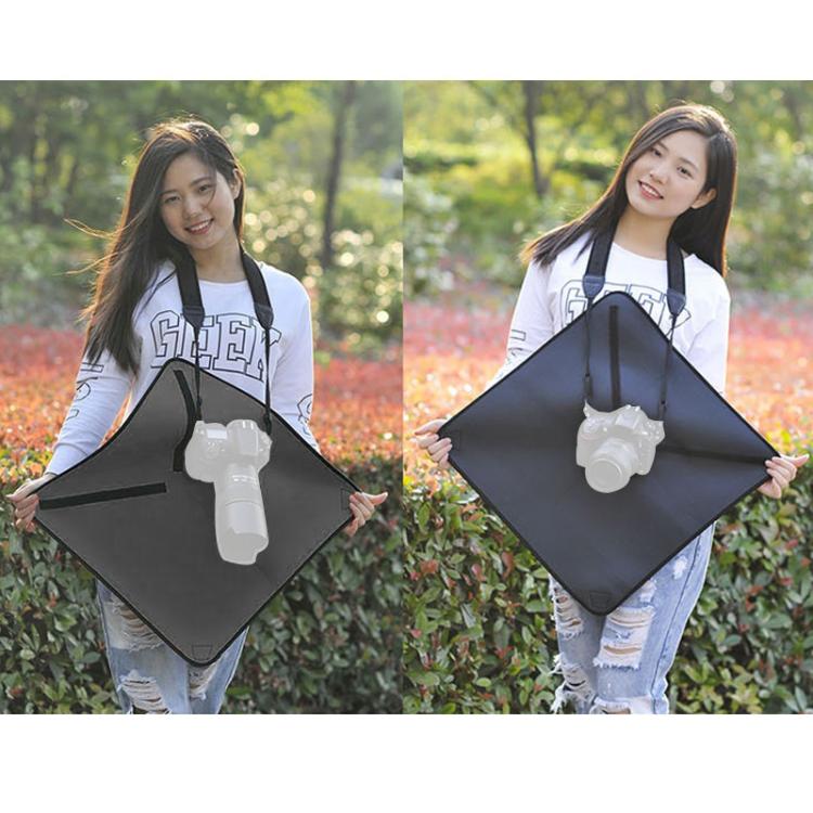 DCA1424_8.jpg@3cc6d9e27e5420b57cd5765bdc12c1ad