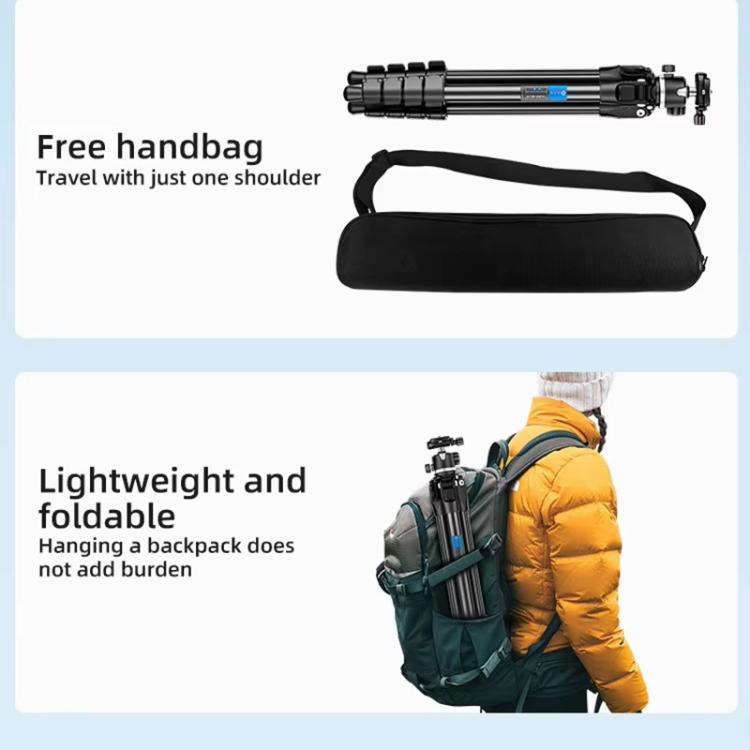 BEXIN TA255-BS30 Portable Collapsible Aluminum Alloy Camera Tripod with Head (Black) - Tripods by BEXIN | Online Shopping UK | buy2fix