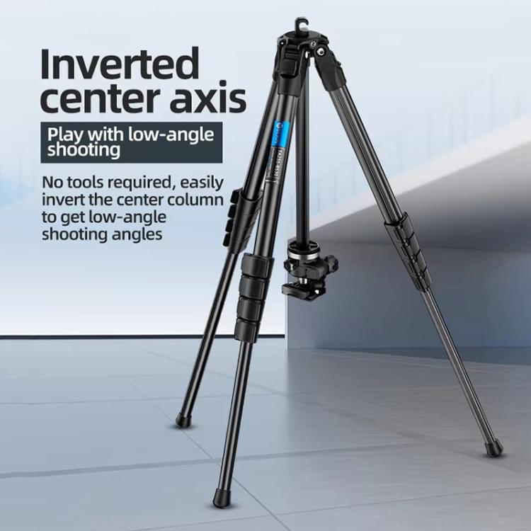 BEXIN TA254-BS30 Portable Collapsible Aluminum Alloy Camera Tripod with Head (Black) - Tripods by BEXIN | Online Shopping UK | buy2fix