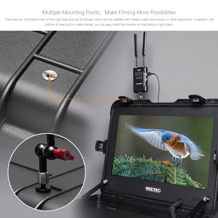 SEETEC WPC215 21.5 inch 1000nit High Bright Portable Carry-on Director Monitor Full HD 1920x1080 Monitor (EU Plug) - On-camera Monitors by SEETEC | Online Shopping UK | buy2fix