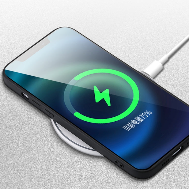 For iPhone 12 Pro Leather Texture Magsafe Phone Case(Green) by buy2fix