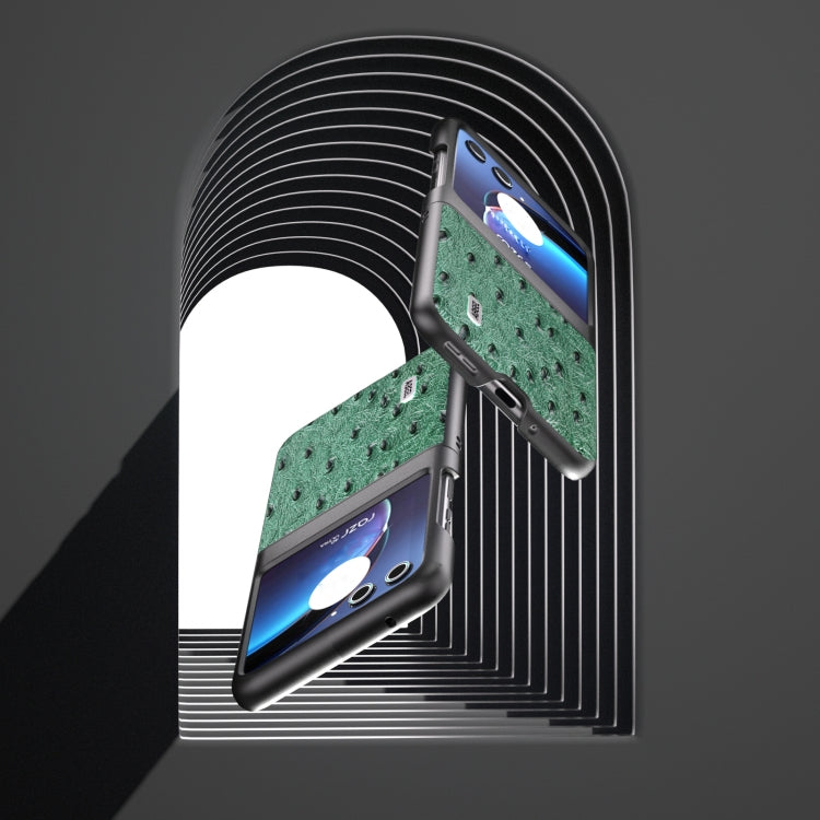 For Motorola Razr 40 Ultra ABEEL Genuine Leather Ostrich Texture Phone Case(Green) by buy2fix