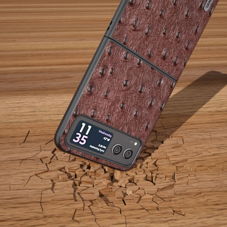For Motorola Razr 40 ABEEL Genuine Leather Ostrich Texture Phone Case(Coffee) by buy2fix