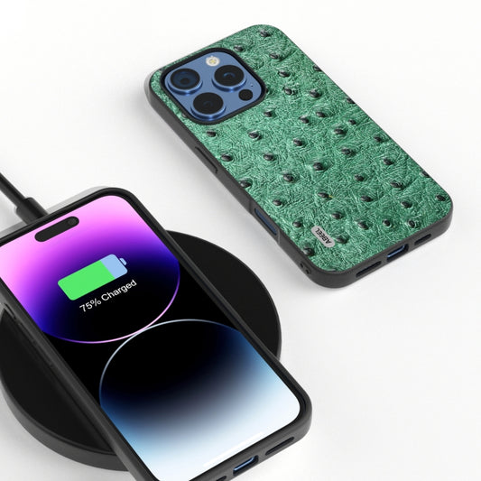 For iPhone 16 Pro ABEEL Genuine Leather Ostrich Texture Phone Case(Green) by buy2fix