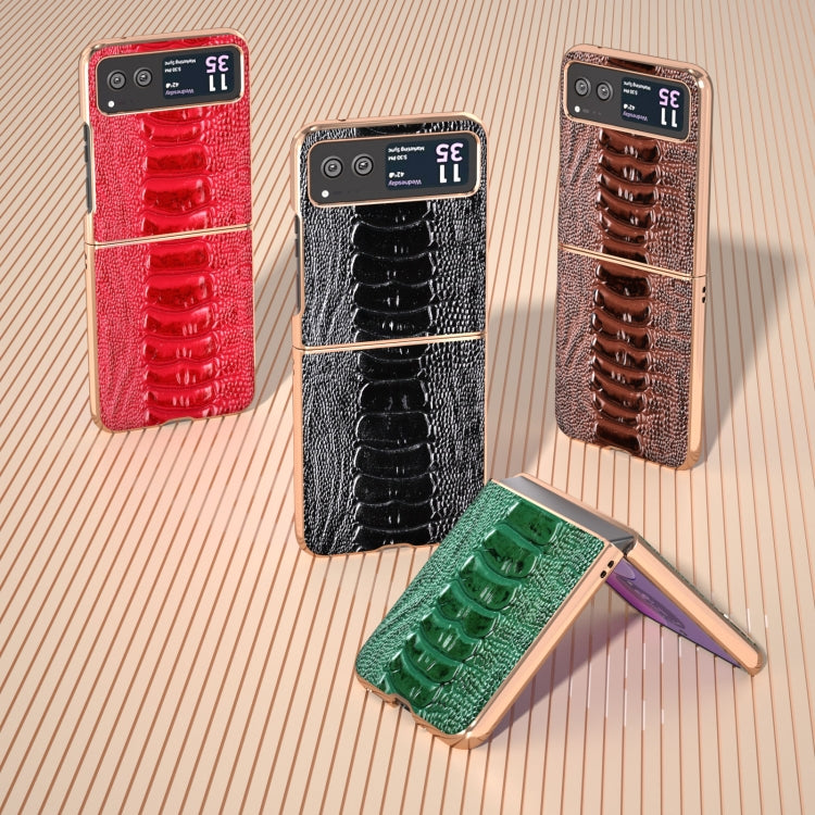 For Motorola Razr 40 Nano Plating Genuine Leather Weilai Series Phone Case(Coffee) by buy2fix