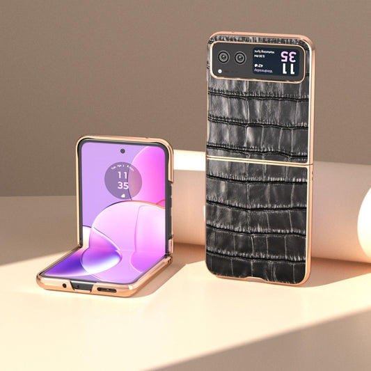 For Motorola Razr 40 Crocodile Texture Genuine Leather Electroplating Phone Case(Black) by buy2fix