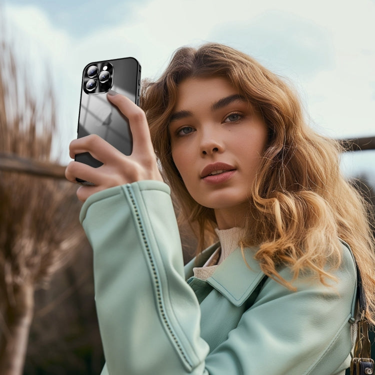 For iPhone 16 Pro Max Frosted Metal Phone Case(Black) - iPhone 16 Pro Max Cases by buy2fix | Online Shopping UK | buy2fix