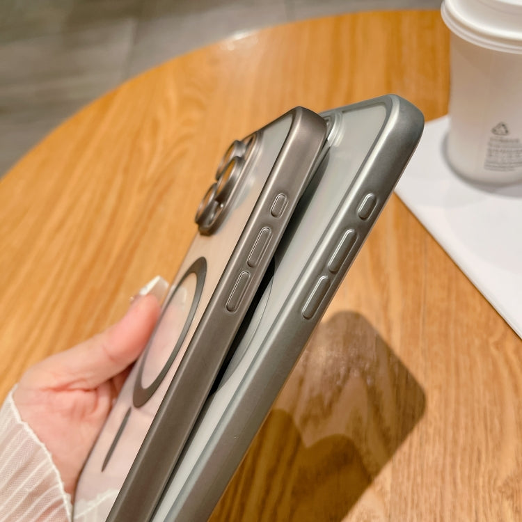 For iPhone 16 Plus MagSafe Magnetic Frosted TPU Phone Case(Silver) by buy2fix