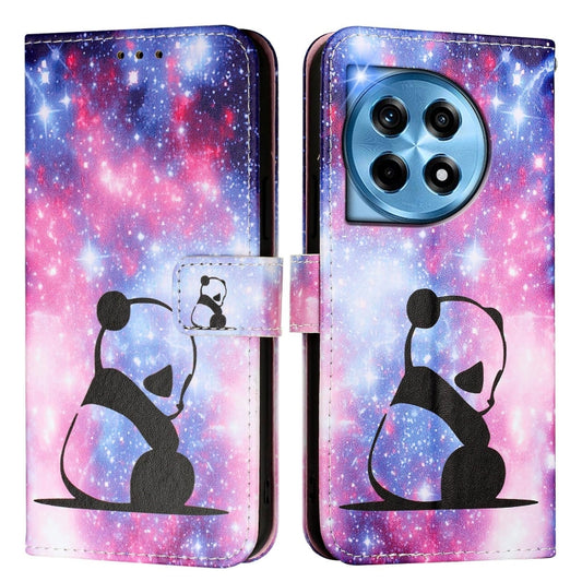 For OnePlus 12 5G Global Colored Drawing Pattern Plain Weave Leather Phone Case(Baby Panda) by buy2fix