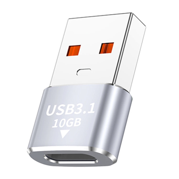 120W 10Gbps USB3.1 Male to USB-C / Type-C Female OTG Mini Adapter(Silver) - OTG Adapter by buy2fix | Online Shopping UK | buy2fix