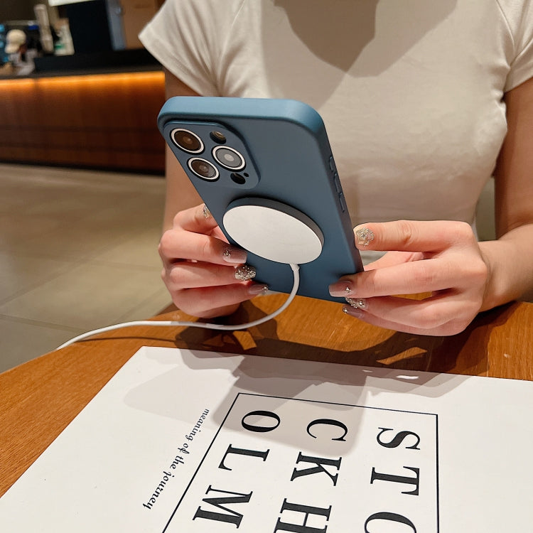 For iPhone 16 Pro Max Solid Color Liquid Silicone MagSafe Magnetic Phone Case(Antique White) by buy2fix