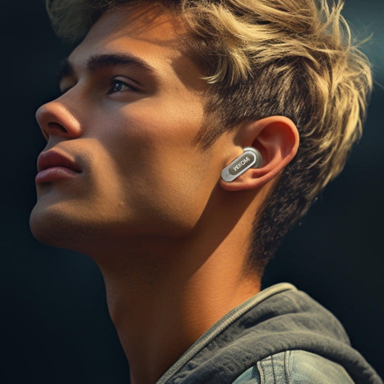 WK Beluga S9 Smart Color Screen True Wireless Noise Reduction Bluetooth Earphone(Grey) - TWS Earphone by WK | Online Shopping UK | buy2fix