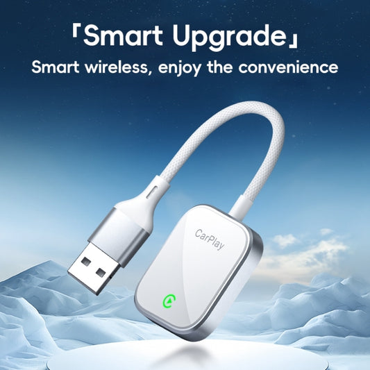 USB, USB-C / Type-C Dual Interface Wired to Wireless Car CarPlay Box Adapter for iPhone(Black) by buy2fix