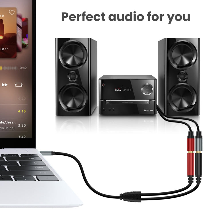 0.3m Gold Plated 3.5mm TRS Male to 2 x 6.35mm Female Laptop Y Splitter Adapter Audio Cable(Black) - Video & Audio Cable by buy2fix | Online Shopping UK | buy2fix