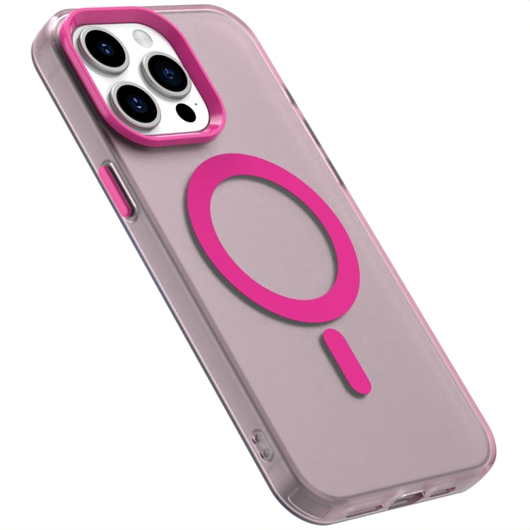 EDA007087712D_5.jpg@4beeb2810717a84ec0fe6b336f3b2479