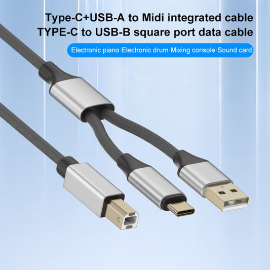 2 in 1 Type-C and USB-A to USB-B MIDI Instruments Printer Cable, Length: 1m, Length:1m(Black) by buy2fix