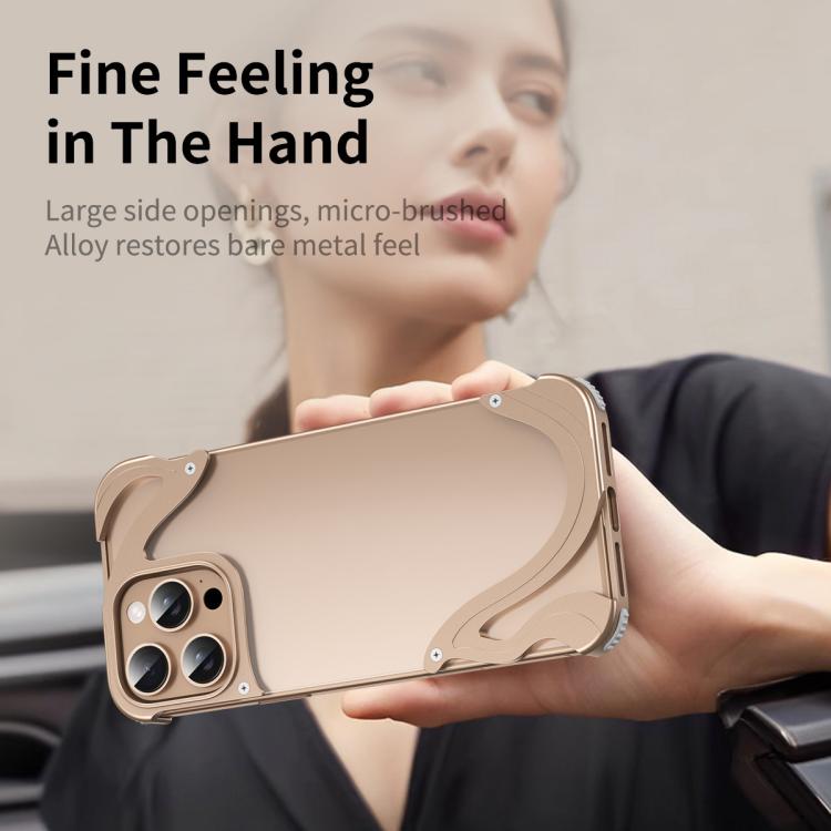 For iPhone 15 Pro Dolphin Metal Hybrid PC Transparent Back Panel Phone Case(Gold) - iPhone 15 Pro Cases by buy2fix | Online Shopping UK | buy2fix