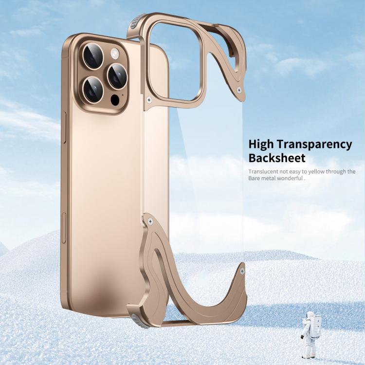 For iPhone 16 Pro Max Dolphin Metal Hybrid PC Transparent Back Panel Phone Case(Gold) - iPhone 16 Pro Max Cases by buy2fix | Online Shopping UK | buy2fix