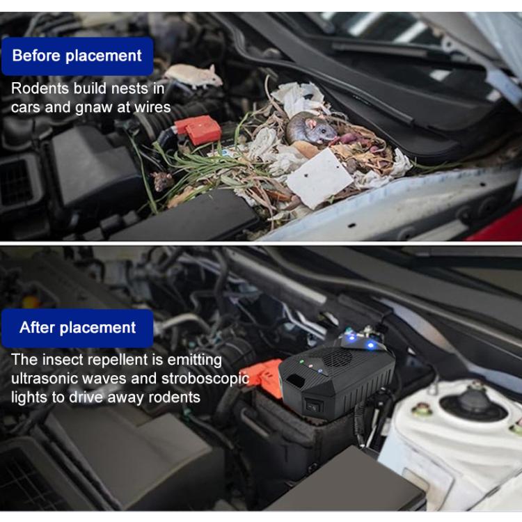 Intelligent Car Ultrasonic Mouse Repeller(Black) - Others by buy2fix | Online Shopping UK | buy2fix