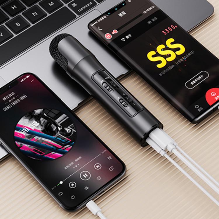 Lebo P1 Karaoke Microphone Audio Home Bluetooth Wireless Microphone(Black) - Microphone by buy2fix | Online Shopping UK | buy2fix