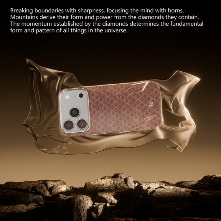 EDA008649702B_2.jpg@a1c50b8b91154592265b2d2b8d373466