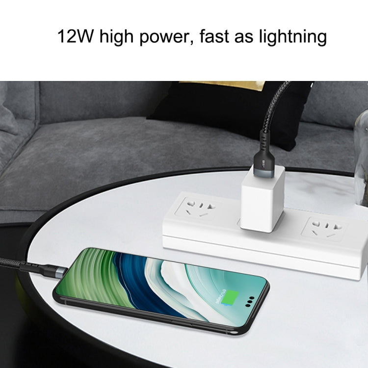 IVON CA88 12W 2.4A USB to USB-C / Type-C Nylon Braid Fast Charge Data Cable, Cable Length: 1m(Black) - USB-C & Type-C Cable by IVON | Online Shopping UK | buy2fix