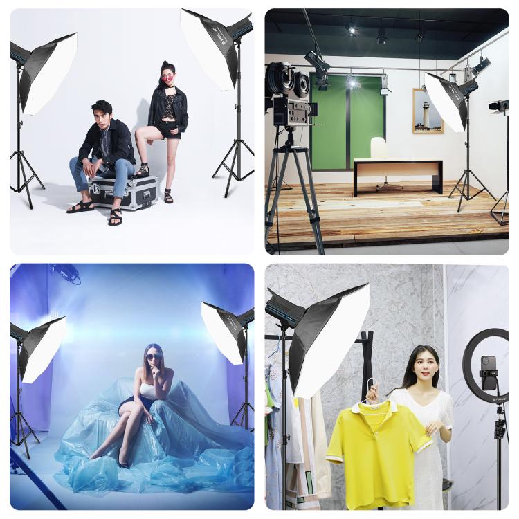 PULUZ 120W Photo Studio Strobe Flash Light Kit with Softbox Reflector & Tripod(US Plug) - Shoe Mount Flashes by PULUZ | Online Shopping UK | buy2fix