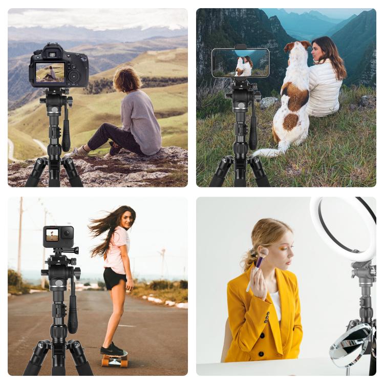 PULUZ 1.6m Reverse-Folding Professional Video Tripod with Fluid Drag Head (Black) - Tripods by PULUZ | Online Shopping UK | buy2fix