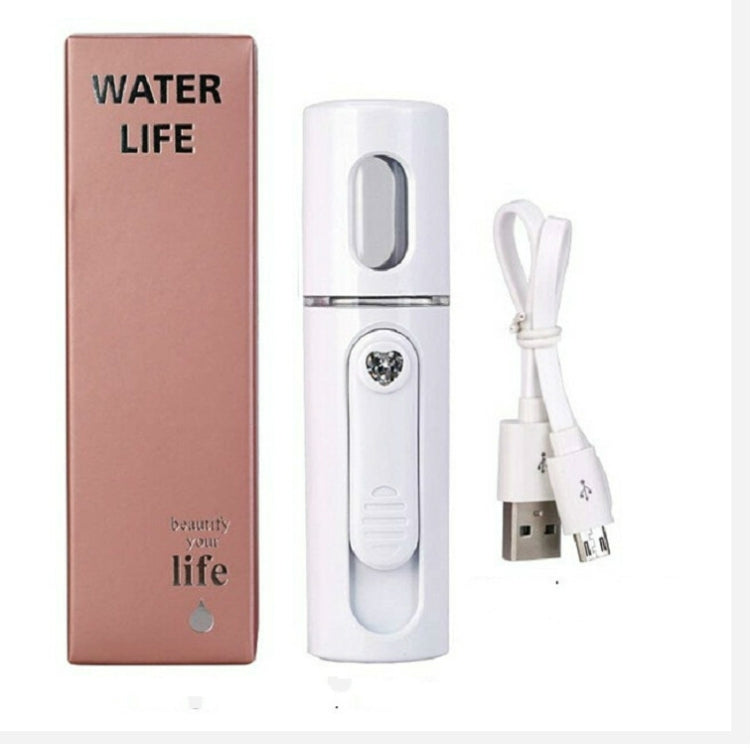 Facial Steamer Nano Steamer Handy Face Moisture Sprayer Rechargeable Mini USB Charging Automatic Alcohol Sprayer(white) - Beauty Instrument by buy2fix | Online Shopping UK | buy2fix