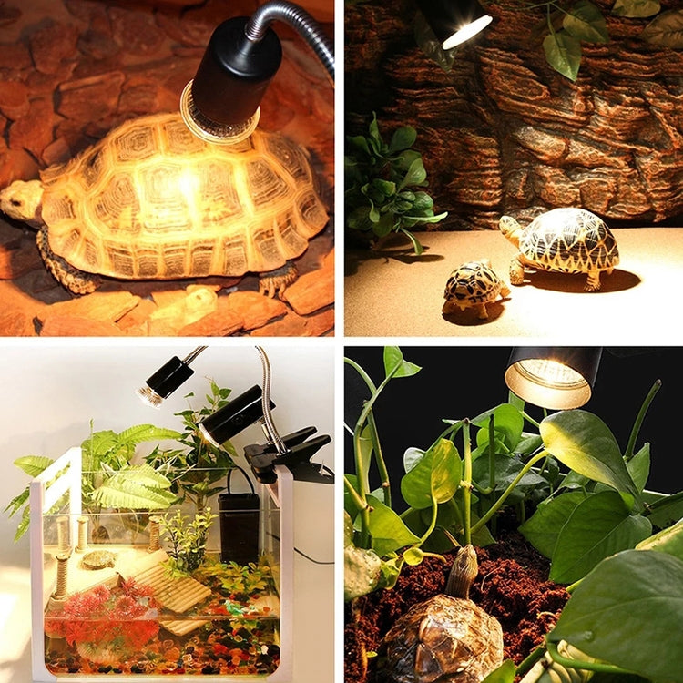 Tortoise UVB Tanning Lamp Holder Full Spectrum Pet Solar Heating Light Holder, EU Plug - Reptile Supplies by buy2fix | Online Shopping UK | buy2fix