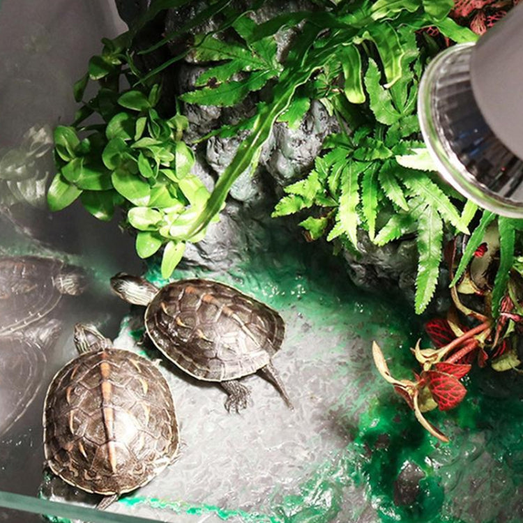 UVA+UVB Full Spectrum Solar Reptile Lamp Lizard Light Turtle Basking Lamp, Specification: 50W - Reptile Supplies by buy2fix | Online Shopping UK | buy2fix