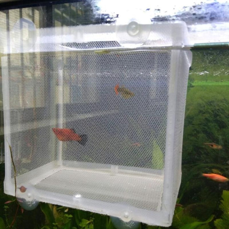 Small Aquarium Incubator Small Fish Isolation Box Net Tropical Fish Breeding Box - Fish Tanks & Accessories by buy2fix | Online Shopping UK | buy2fix
