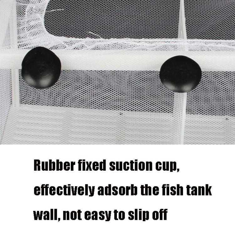 Small Size With Clapboard Incubator Small Fish Isolation Box Net Tropical Fish Breeding Box - Fish Tanks & Accessories by buy2fix | Online Shopping UK | buy2fix