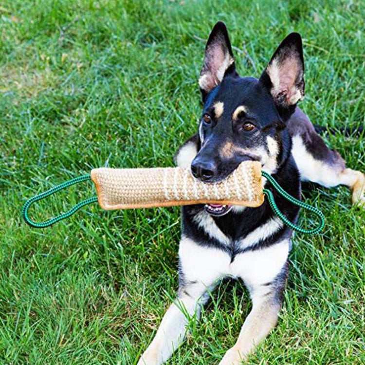 Dog Training Hemp Bite Stick Dog Bite Stick Dog Training Supplies(A1) by buy2fix