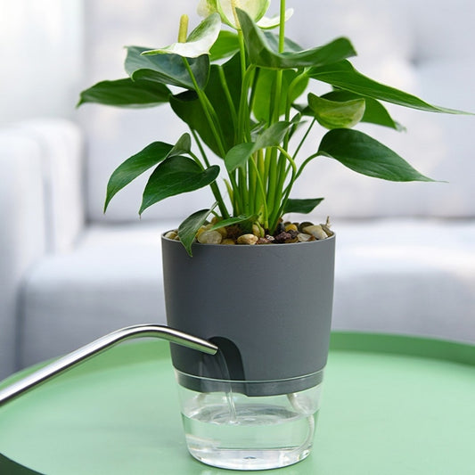 Transparent Plastic Double-Layer Water Storage Automatic Water-Absorbing Flowerpot, Size: A705 Caliber 10.5cm(Gray Transparent Basin) by buy2fix