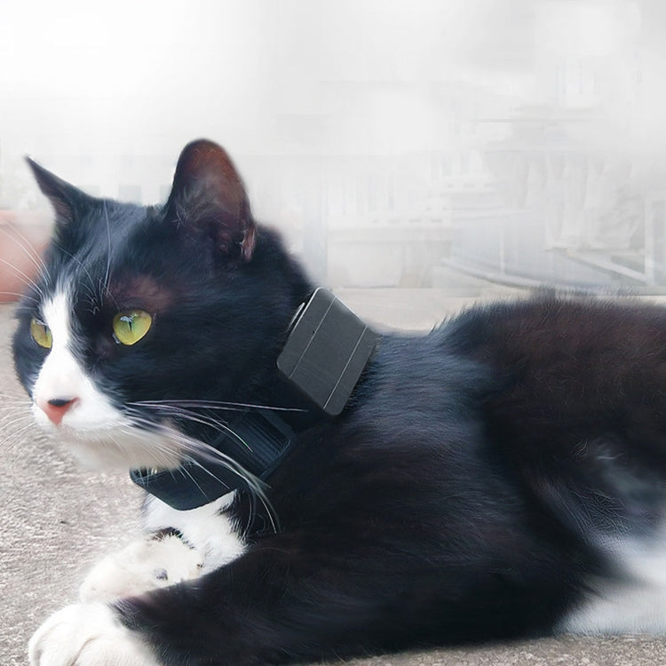 CJ230 Pet Locator Micro Mini GPS Locator by buy2fix