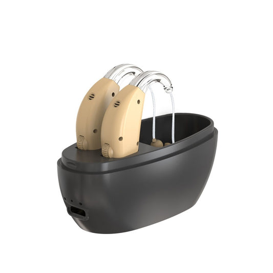Elderly Use Can Charge Sound Amplifier Hearing Aid, Specification: US Plug(Skin Color Double Machine+Black Charging Bin) by buy2fix