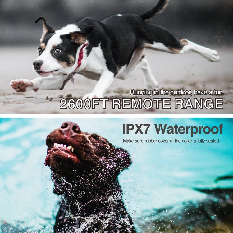 Intelligent Remote Control Dog Trainer Automatic Barking Stop Collar(White) by buy2fix