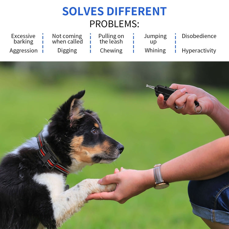 Electronic Dog Trainer Rechargeable Pet Remote Control Bark Stopper, Specification: 1 Drag 2 by buy2fix