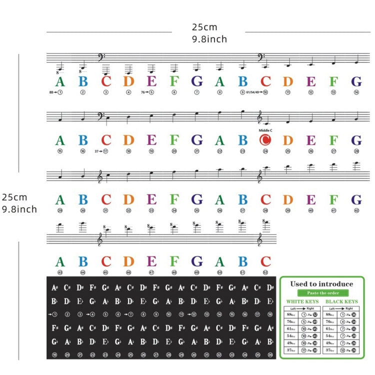 QT-0302 5PCS Children Piano Keyboard Color Stickers Musical Instrument Accessories - Keyboard Accessories by buy2fix | Online Shopping UK | buy2fix
