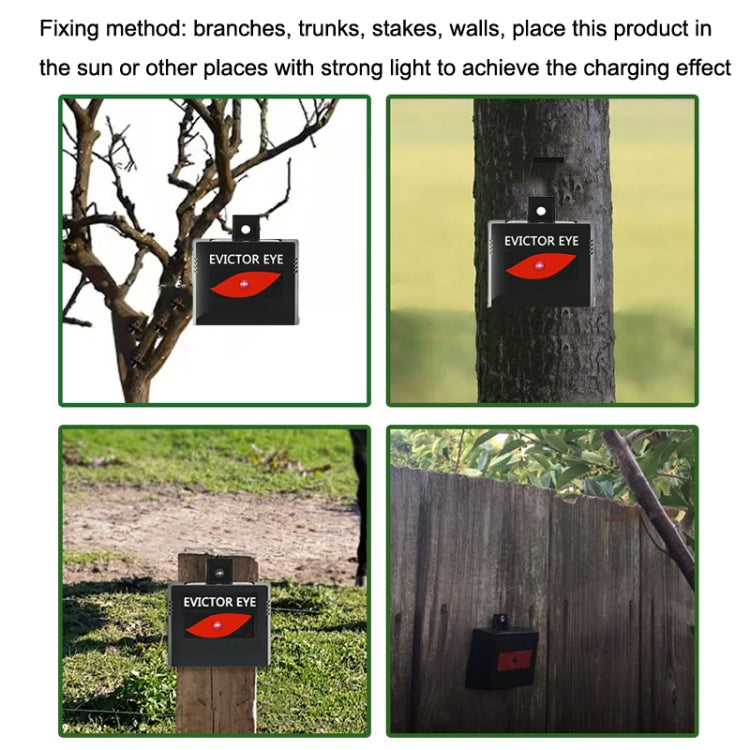 SK191 1pc Solar Farm Wild Eagle Eye Animal Repeller by buy2fix