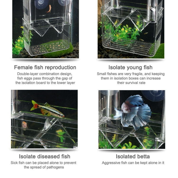 Small Peacock Fish Double Layer Transparent Breeding Isolation Box Aquarium Breeding Box - Fish Tanks & Accessories by buy2fix | Online Shopping UK | buy2fix
