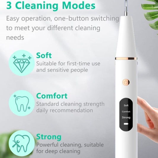 Ultrasonic Electric Dental Scaler Teeth Plaque Cleaner Dental Stone Removal With LED Light, Spec: Package A with Accessories by buy2fix