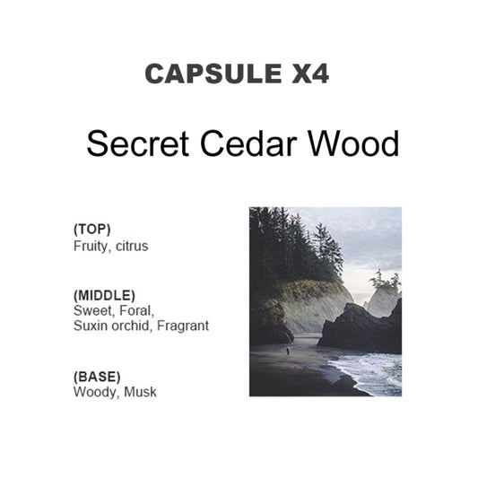 BEN.JACK 4pcs /Set Coffee Cup Air Outlet Aromatherapy Refill Tablets(Secret Cedar Wood) by BEN.JACK