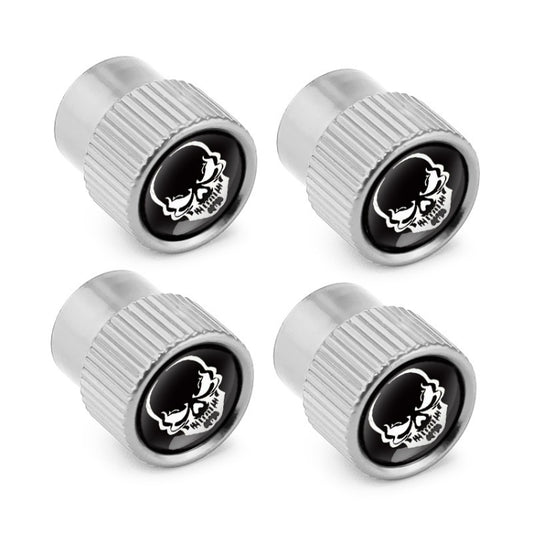 4pcs /Set Skeleton Car Tire Universal Aluminum Valve Cap(Silver) by buy2fix