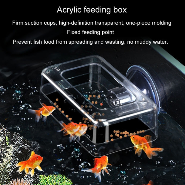 Acrylic Transparent Feeding Ring Fish Tank Feeder Floating Fixed Fish Feeder, Specification: Large Square - Feeders by buy2fix | Online Shopping UK | buy2fix