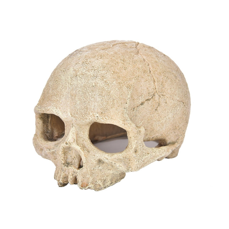 Fish Tank Aquarium Decoration Spider Lizard Snake Python Skull Breeding House Hiding Ornament(Bald Skull) - Reptile Supplies by buy2fix | Online Shopping UK | buy2fix